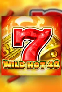 wild hot 40 game logo